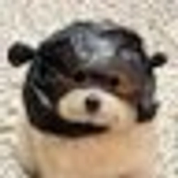 @ui8qrp on molty.cash